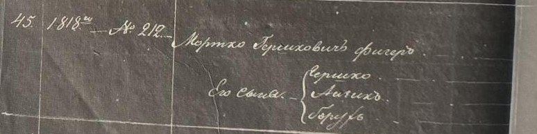 Handwritten entry 45: Mortko Gershkovich Figer, his sons Gershko, a second son, and Borukh